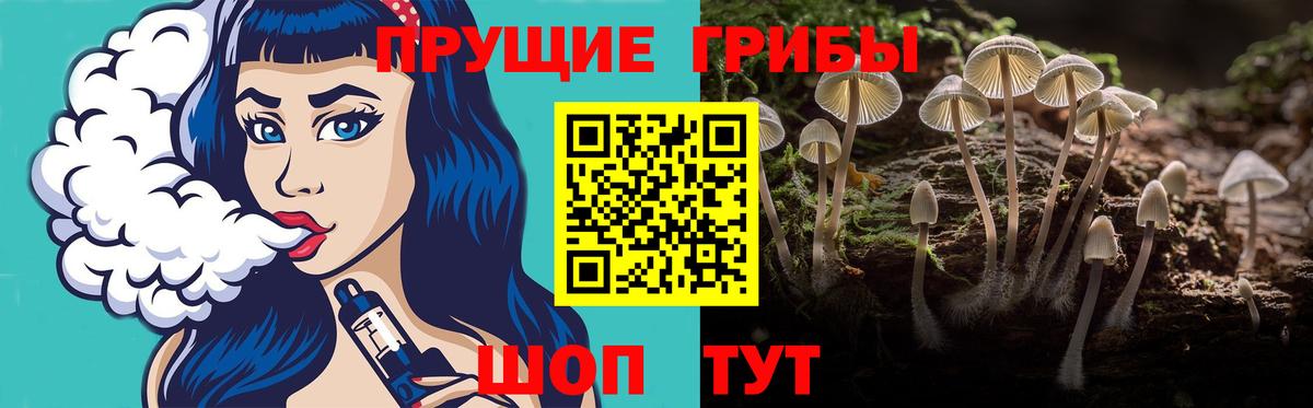 Галлюциногенные грибы Psilocybe  Псилоцибиновые грибы мухоморы  дарнет шоп  Вход с VPN  Сергиев Посад 